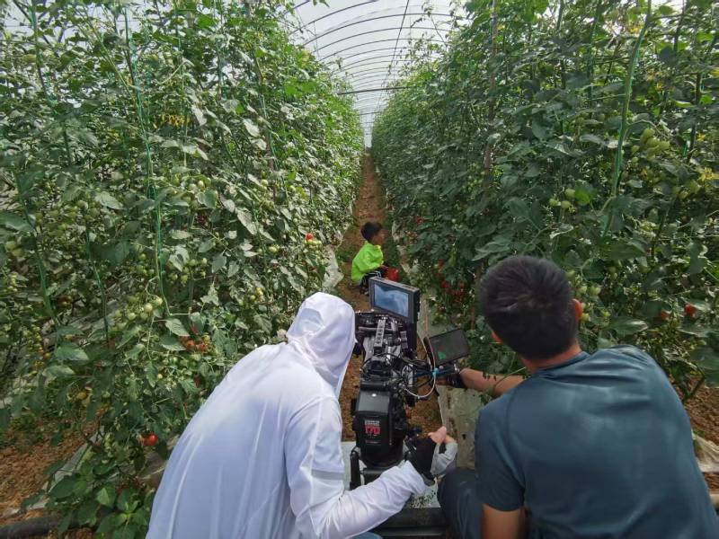 芦溪县产品宣传视频拍摄公司进阶指南，助力品牌抢占传播高地